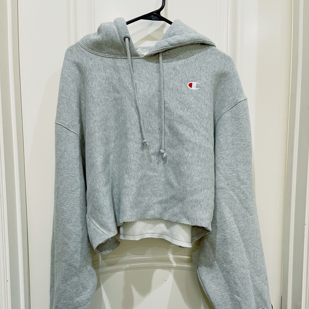 NWT Urban Outfitters Champion Crop Hoodie